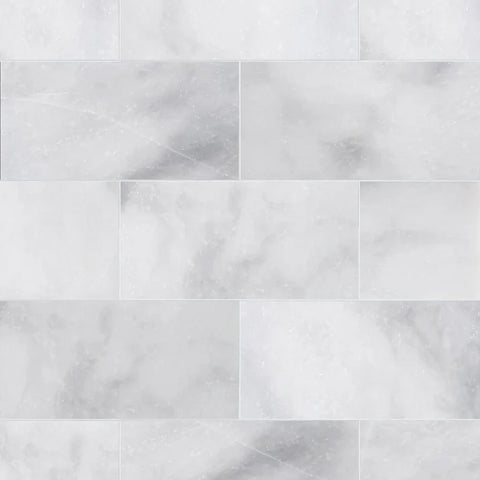 Sample of 6 X 12 Afyon White Marble Polished Field Tile-Sample-American Tile Depot