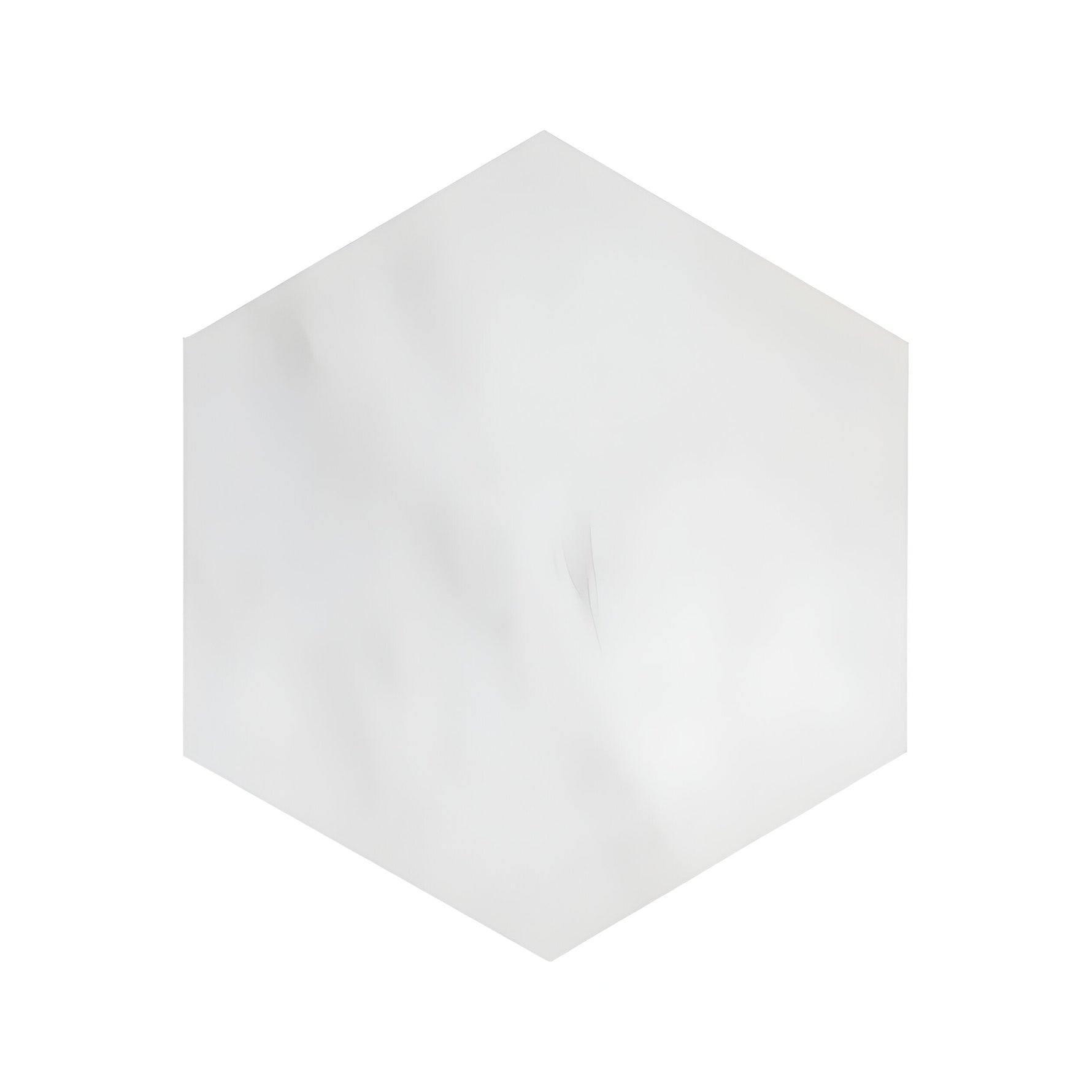 Bianco Dolomite Honed 10" Hexagon Marble Tile-Marble Mosaic-American Tile Depot