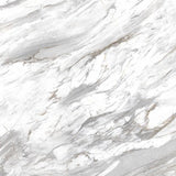24 X 24 Bianco Carrara Polished Marble Look Porcelain Tile