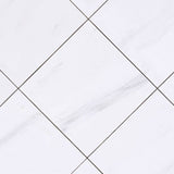 12 X 12 Bianco Dolomite Polished Marble Field Tile