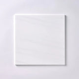 12 X 12 Bianco Dolomite Honed Marble Field Tile