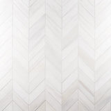 Bianco Dolomite Polished Large Chevron Marble Mosaic Tile