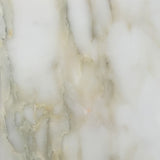 6 X 12 Calacatta Oliva Marble Honed Field Tile