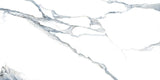 24 X 48 Calacatta Fantasy Acqua Polished Marble Look Porcelain Tile