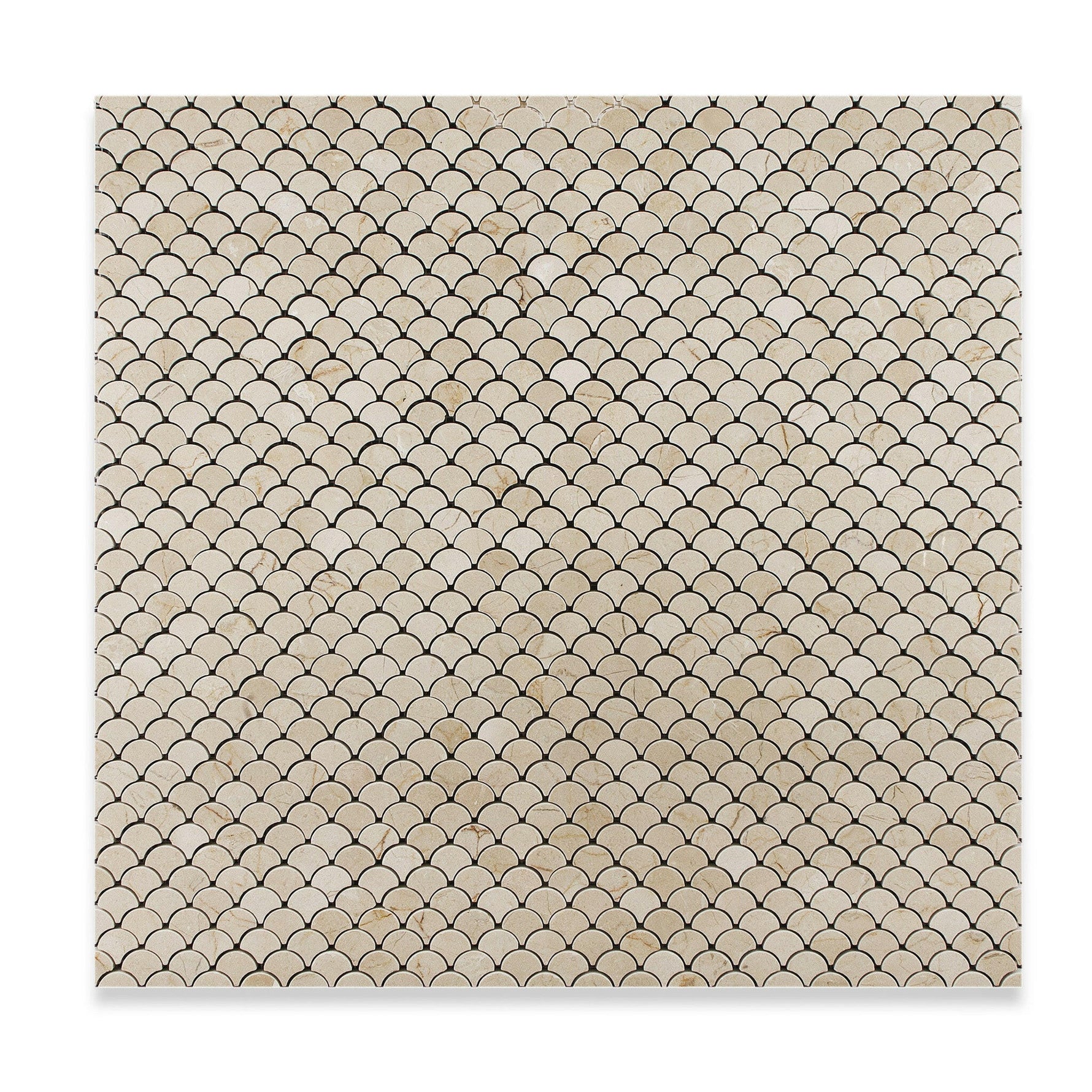 Crema Marfil Marble Honed Fan Mosaic Tile-Marble Mosaic-American Tile Depot