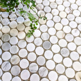 Curvus Calacatta Honed Circular Marble Mosaic Tile