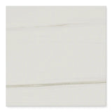 Sample of 24 X 24 Dolomite Matte Marble Look Porcelain Tile-Sample-American Tile Depot