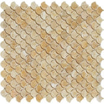 Honey Onyx Polished Fan Mosaic Tile-Onyx Mosaic-American Tile Depot