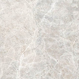 24 X 24 Lizard Grey Polished Marble Look Porcelain Tile