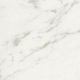 24 X 24 Marmi Macchiavecchia Levigato Polished Marble Look Porcelain Tile