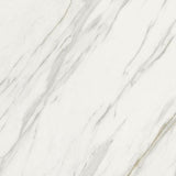 24 X 24 Marmi Macchiavecchia Levigato Polished Marble Look Porcelain Tile