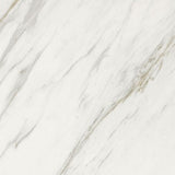 24 X 24 Marmi Macchiavecchia Levigato Polished Marble Look Porcelain Tile