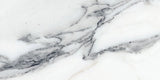 24 X 48 Origines Argent Glossy Marble Look Porcelain Tile