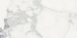 24 X 48 Origines Blanc Glossy Marble Look Porcelain Tile