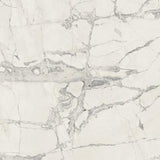 24 X 24 Prexious Mountain Treasure Glossy Marble Look Porcelain Tile