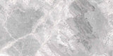 24 X 48 Supreme Silver Naturale Matte Marble Look Porcelain Tile