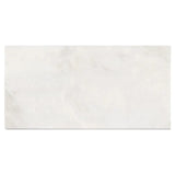 12 X 24 Bianco Congelato Dolomite Leathered Tile-Dolomite - Large Formate-American Tile Depot