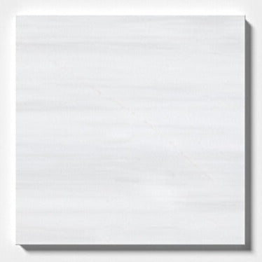 24 X 24 Bianco Dolomite Polished Tile