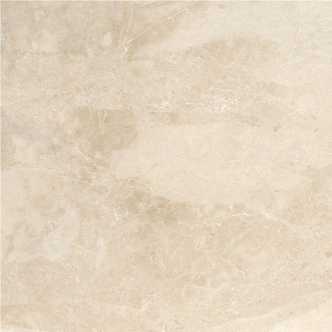 Sample of 24 X 24 Cappuccino Marble Polished Tile-Sample-American Tile Depot