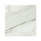 18 X 18 Calacatta Gold Marble Polished Field Tile