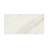 3 X 6 Calacatta Gold Marble Honed Subway Brick Field Tile