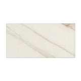 3 X 6 Calacatta Gold Marble Honed Subway Brick Field Tile